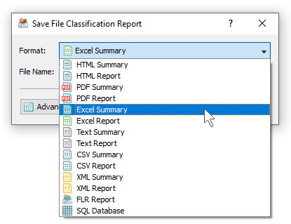 DiskSorter Save File Classification Excel Report