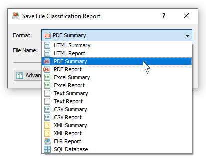 DiskSorter Save File Classification PDF Report